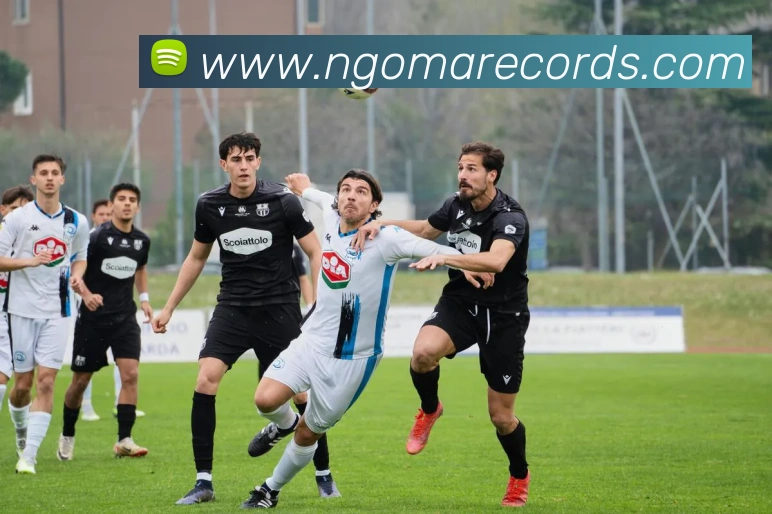 星空体育发展历程